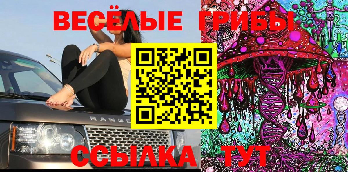 Качканар  Псилоцибиновые грибы ЛСД  Вход с VPN 