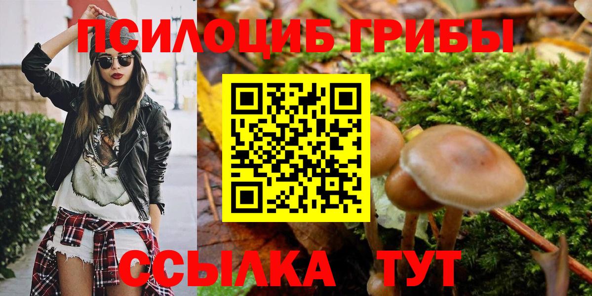 Псилоцибиновые грибы GOLDEN TEACHER Качканар